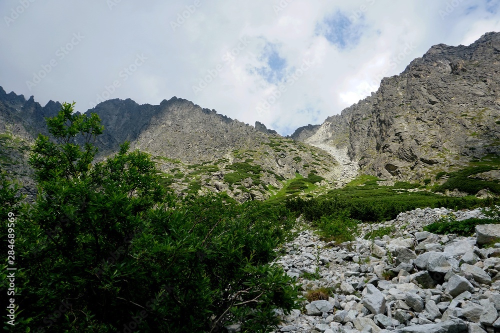 Fototapeta premium Beautiful High Tatras mountains landscape in Slovakia near city Old Smokovec. sunny summer day