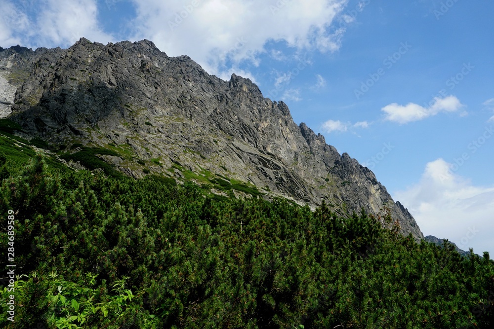 Beautiful High Tatras mountains landscape in  Slovakia near city Old Smokovec. sunny summer day