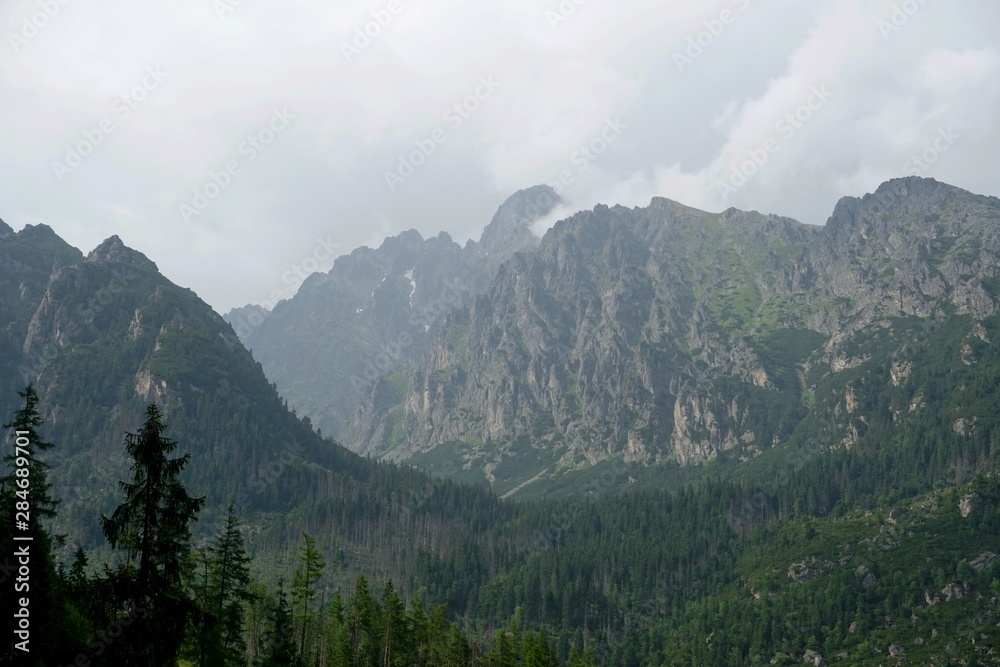 Obraz premium Beautiful High Tatras mountains landscape in Slovakia near city Old Smokovec. sunny summer day
