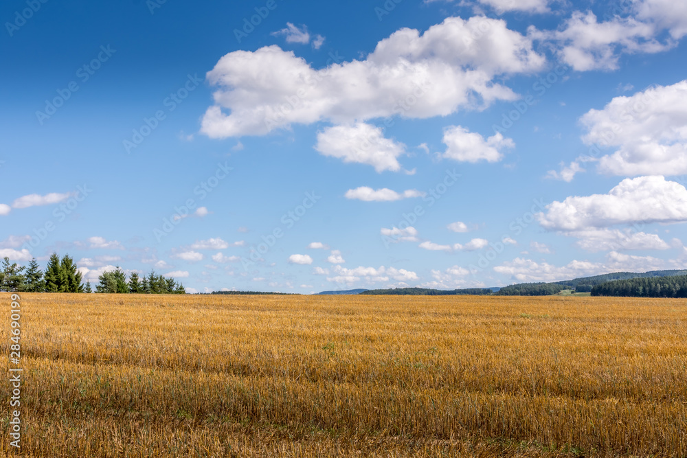 harvested field with blue sky