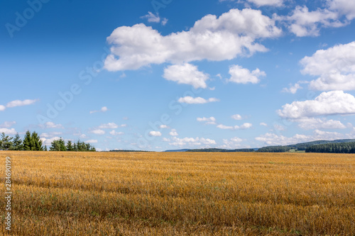 harvested field with blue sky