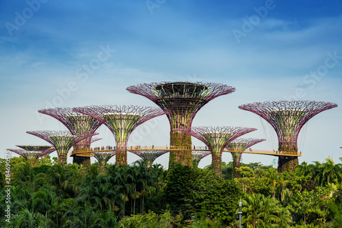 View of The Supertree Grove at Gardens by the Bay in Singapore City.. © Phutthiseth