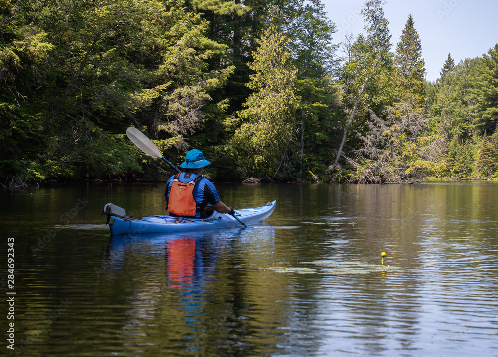 Mature man kayaking through a calm creek past evergreen forest and lilies Mature man kayaking through a calm creek past evergreen forest and lilies