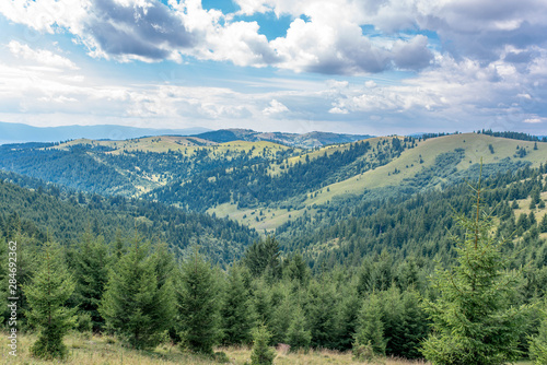 Cloudscape over pine forest in the Carpathian mountains in Transylvania, Romania.