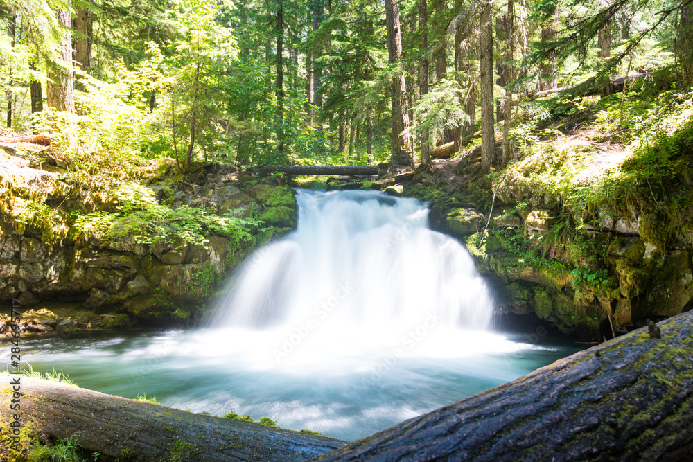 Obraz premium Whithorse Falls