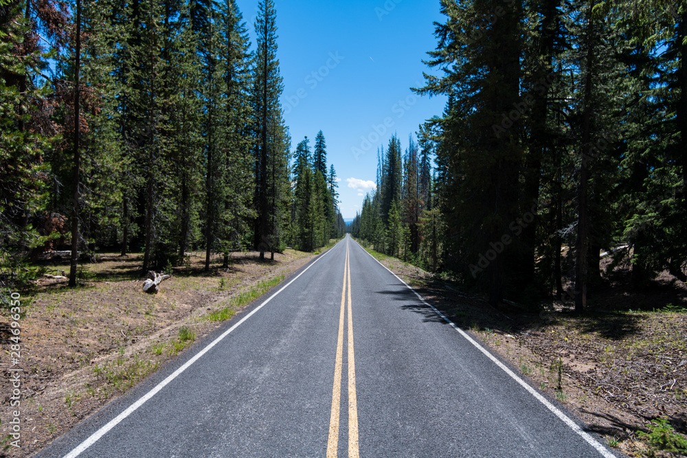 Fototapeta premium Road