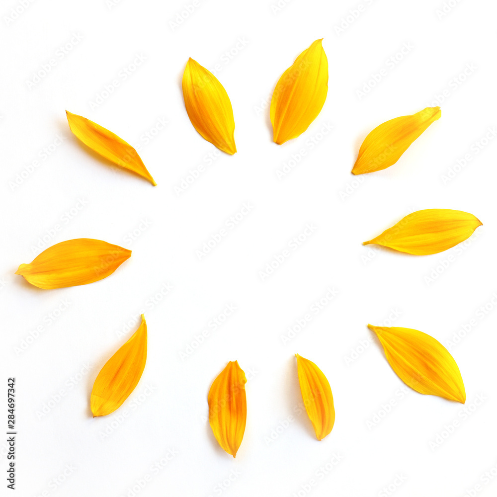rounded frame of yellow leaves on a white background top view. simple autumn pattern