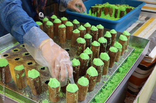 Photography preparation of putu bambu - Kuala Lumpur Malaysia Asia