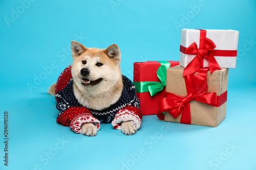 Cute Akita Inu dog in Christmas sweater near gift boxes on blue background