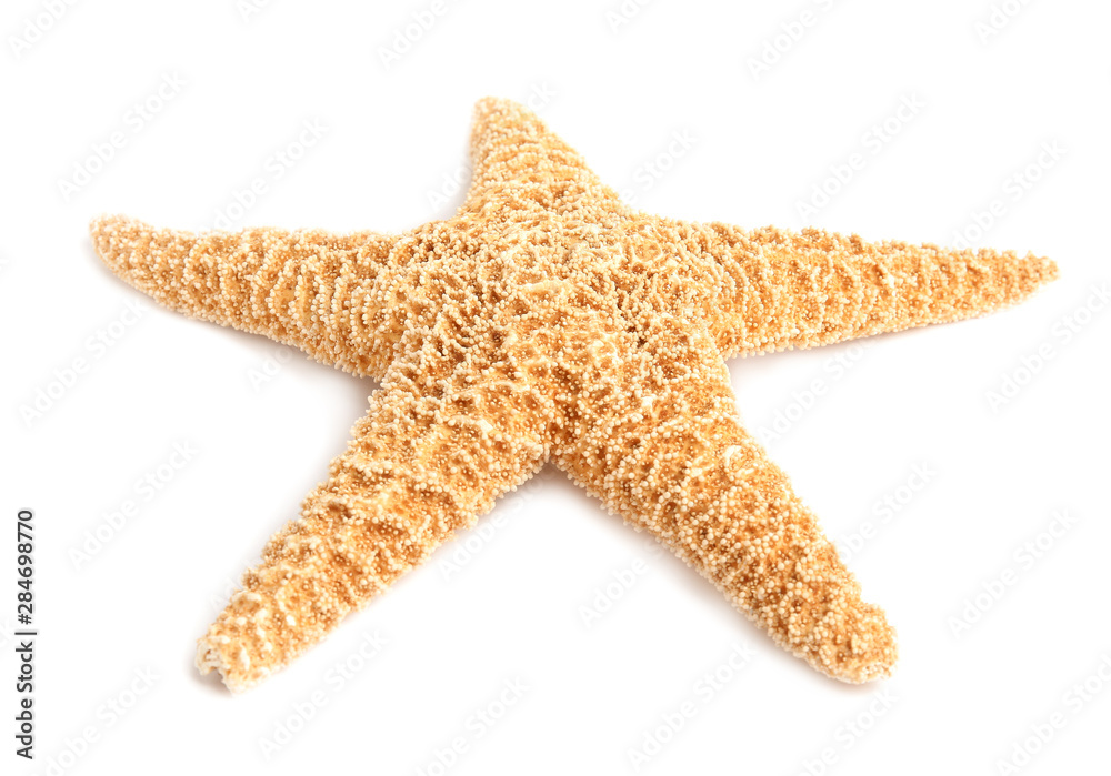Beautiful starfish on white background. Beach object Beautiful starfish on white background. Beach object