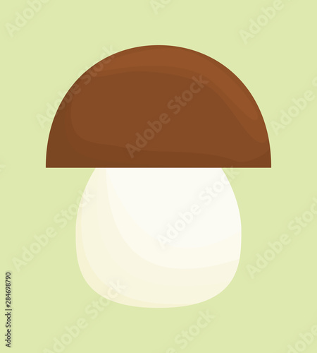 Boletus mushroom icon. Fungus vector illustration.