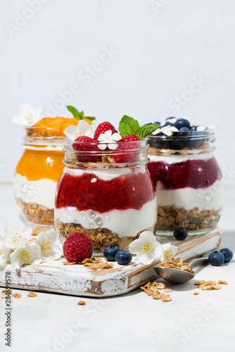 desserts with granola, berry and fruit puree in jars on white background, vertical