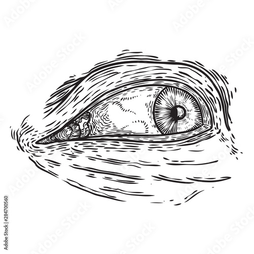 All seeing eye symbol element variation. Alchemy, religion, spirituality and occultism tattoo ink art. Vision of providence and conspiracy theory. Hand drawing in flash tattoo style artwork. Vector.