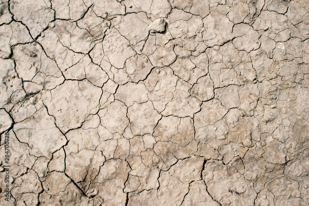 Dried clay earth with shaped cracks with a complete lack of vegetation in sunlight. Texture Dried clay earth with shaped cracks with a complete lack of vegetation in sunlight. Texture