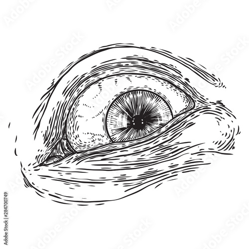 All seeing eye symbol element variation. Alchemy, religion, spirituality and occultism tattoo ink art. Vision of providence and conspiracy theory. Hand drawing in flash tattoo style artwork. Vector.