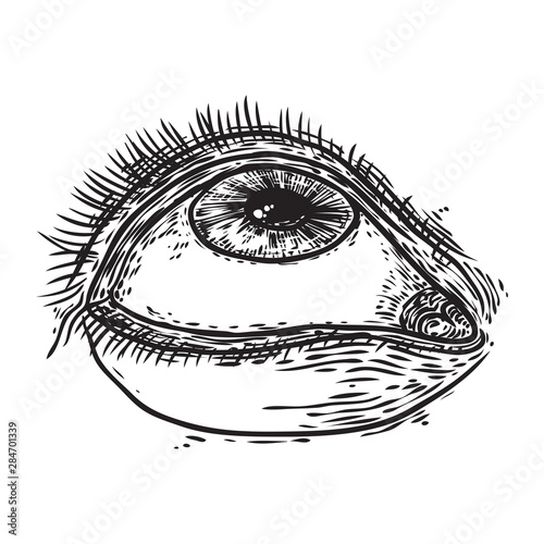 Human eye in engraved style. Male vision organ with iris and lashes front. Makeup salon design element for man. All seeing eye symbol. Vector.