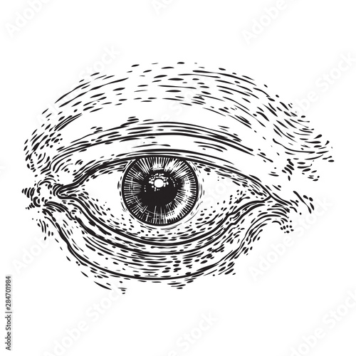 All seeing eye symbol element variation. Alchemy, religion, spirituality and occultism tattoo ink art. Vision of providence and conspiracy theory. Hand drawing in flash tattoo style artwork. Vector.