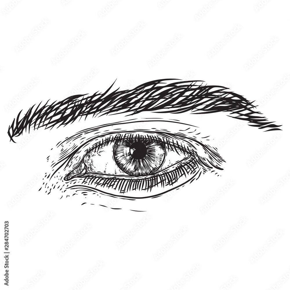 Fototapeta premium Human male eye in hand drawn style. Anatomy of vision organ element. Vector.