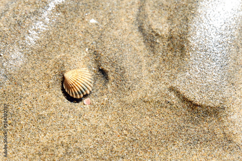 Marcas de agua en arena de playa Marcas de agua en arena de playa