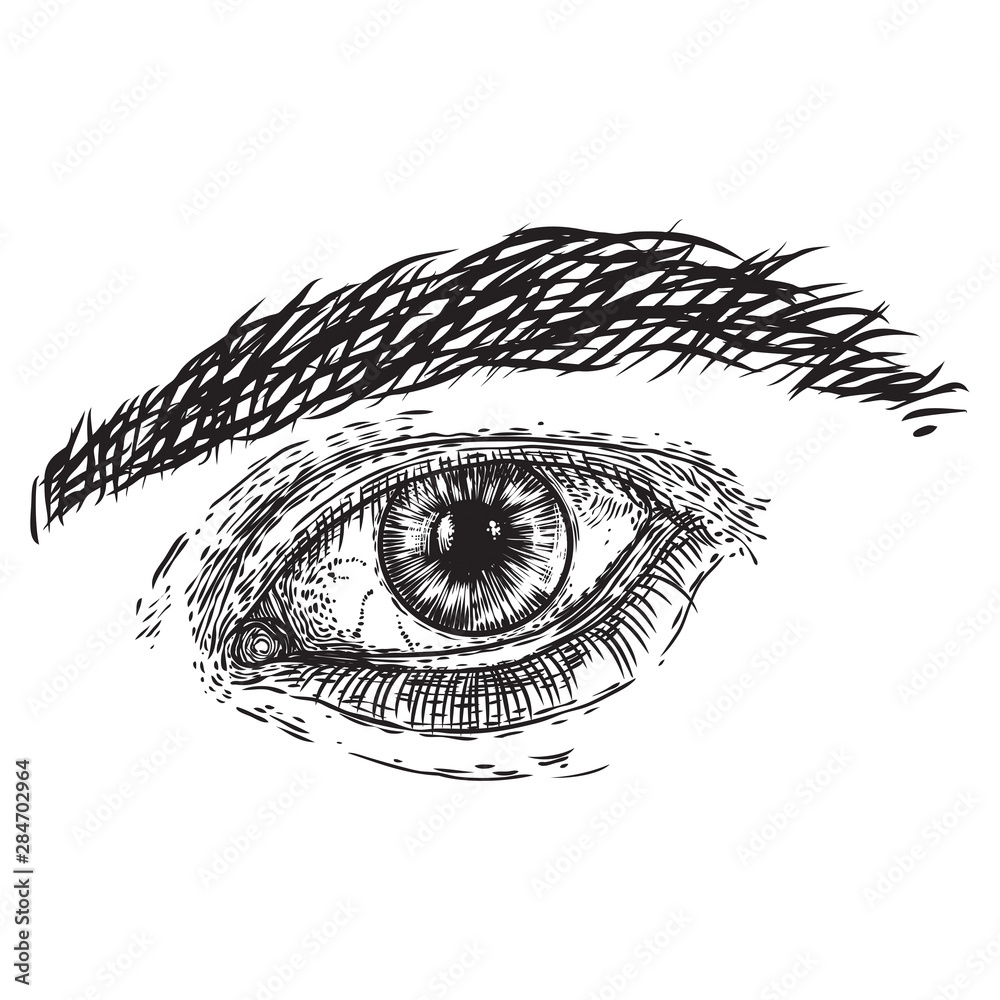 Obraz premium Human male eye in hand drawn style. Anatomy of vision organ element. Vector.