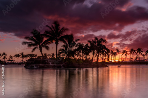 Sun setting on an Hawaiian beach. The sky is purple, red and orange, as the sun dips behind the silhouetted palm trees, on Oahu, Hawaii  © parkerspics