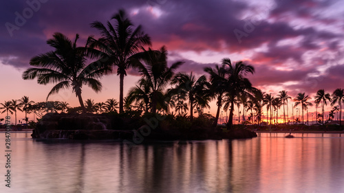 Sun setting on an Hawaiian beach. The sky is purple  red and orange  as the sun dips behind the silhouetted palm trees  on Oahu  Hawaii 