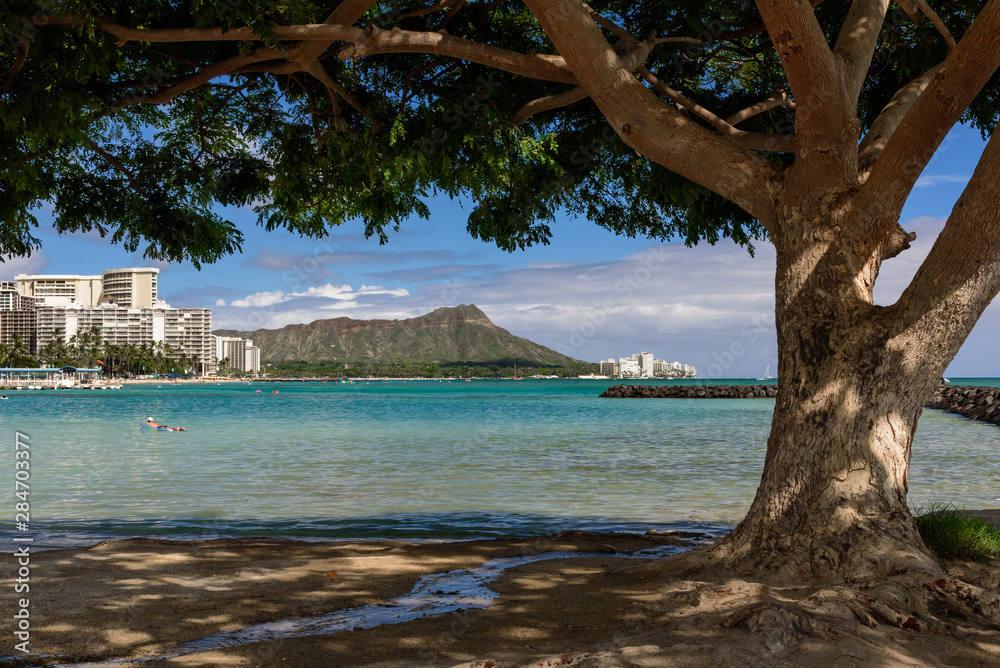 A view of Diamond Head, Honolulu, Hawaii, from the far end of Waikiki beach. The view is framed by a tree.