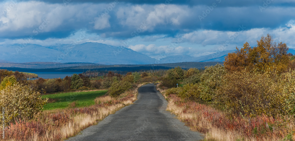 Road in the tundra