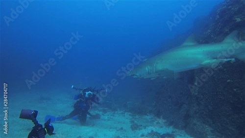 Wallpaper Mural Underwater Photographers. Scuba Divers Taking Underwater Photography Photos With Underwater Camera Housing & Lights Of Grey Nurse Shark.Shark Close Up & Camera Man Taking Underwater Photos In Blue Sea Torontodigital.ca