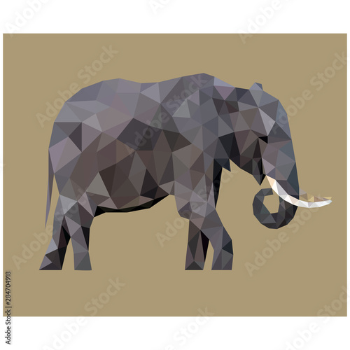 Low poly illustration of elephant