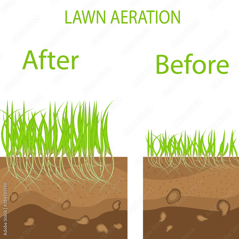 Lawn stage aeration illustration. Gardening of lawns, landscape design ...