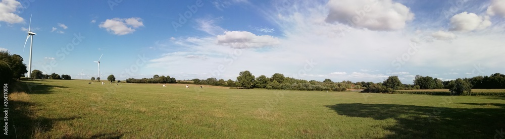 paysage de campagne avec éolienne et vaches dans les prés