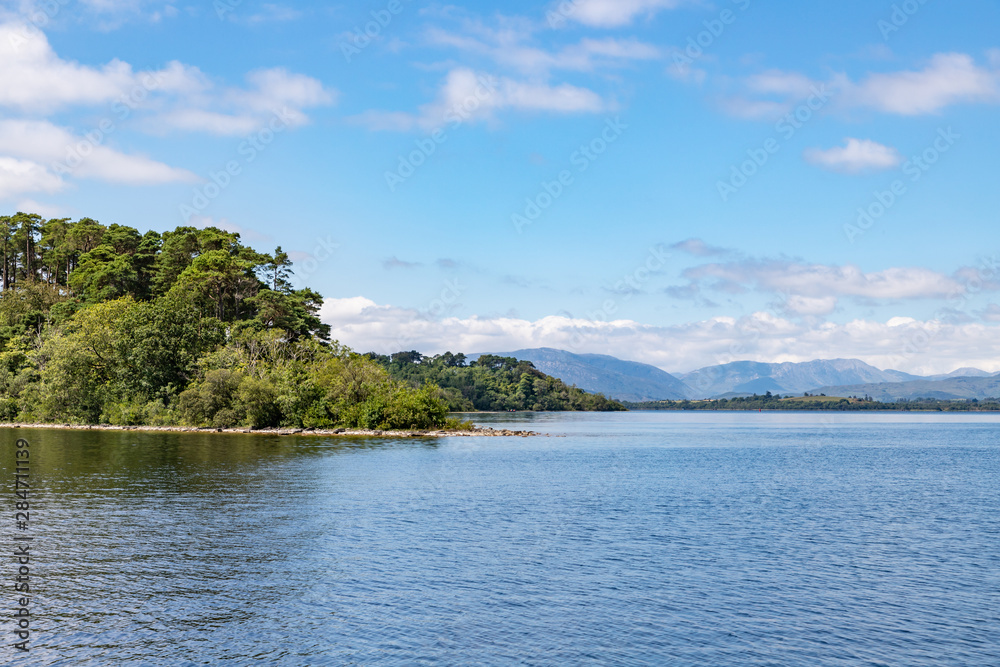 Forest in Inchagoill Island with Conemara mountains in background Forest in Inchagoill Island with Conemara mountains in background