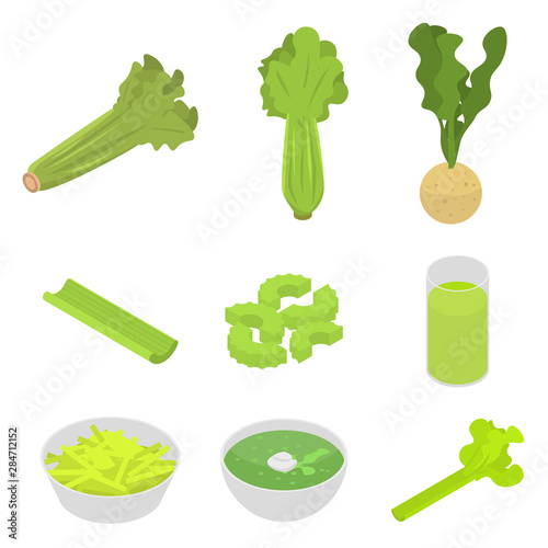 Celery icons set. Isometric set of celery vector icons for web design isolated on white background