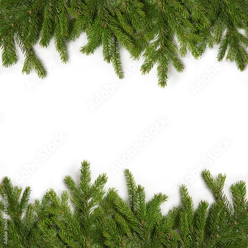 Green branches of spruce on a white isolated background. Greeting card for New Year and Christmas. Frame of evergreen sprigs of spruce.