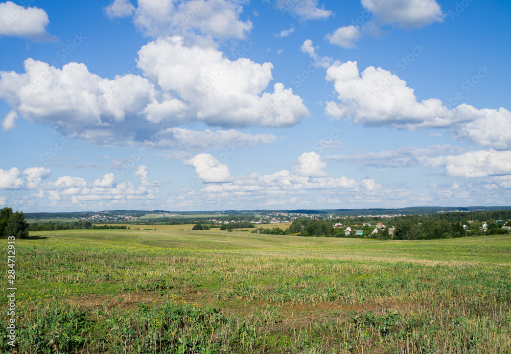 Rural beautiful landscape. Green field with blue sky.