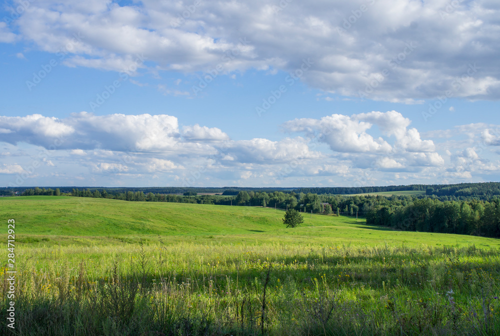 Fototapeta premium Rural beautiful landscape. Green field with blue sky.