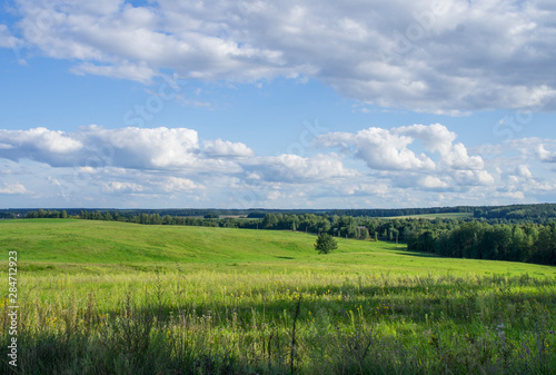 Rural beautiful landscape. Green field with blue sky.