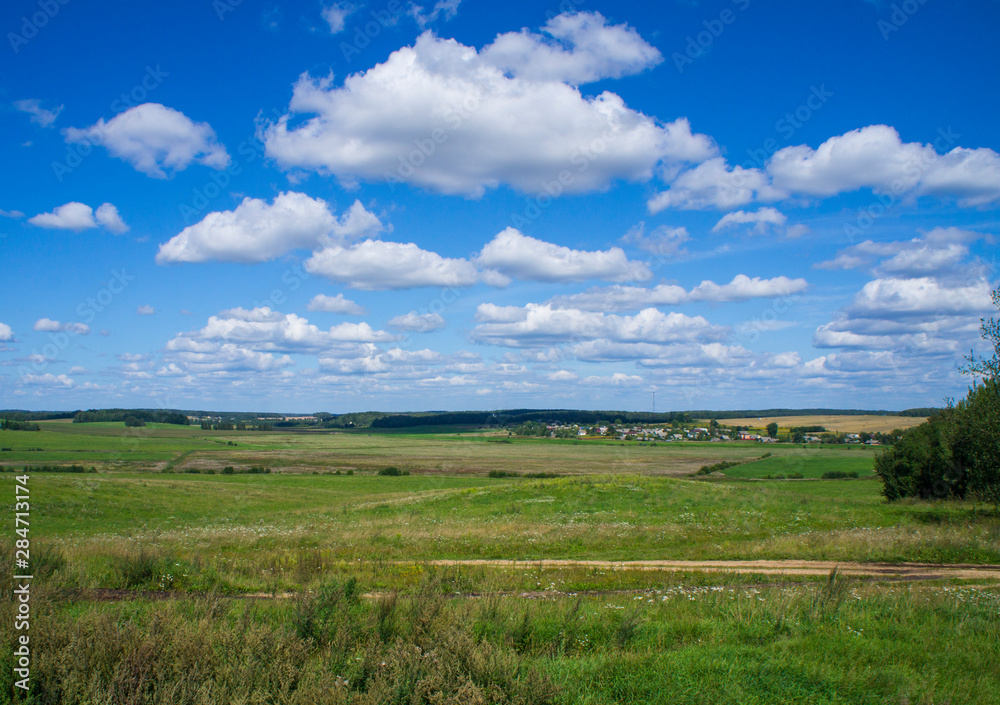 Rural beautiful landscape. Green field with blue sky.