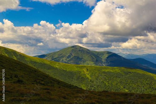 Summer landscape in the Carpathian mountains. View of the mountain peak Hoverla. © Olga Soloveva