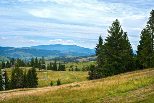 Beautiful mountain landscape - panoramic view of the Carpathian Mountains, shows how far the cows graze. Summer photo of mountain Carpathians