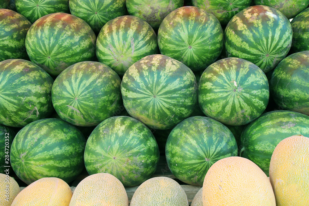 fresh watermelons and melons as background fresh watermelons and melons as background
