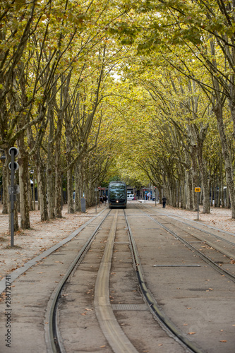 The modern tram in the French city of Bordeaux, passing along the Allees de Munich, a leafy avenue in the center of the city.Gironde, France