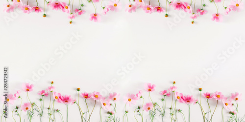 Fototapeta Naklejka Na Ścianę i Meble -  Beautiful flowers composition. Pink cosmos flowers on white background. Flat lay, top view, copy space