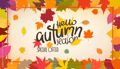 Autumn colorful leaves frame. Hello autumn season