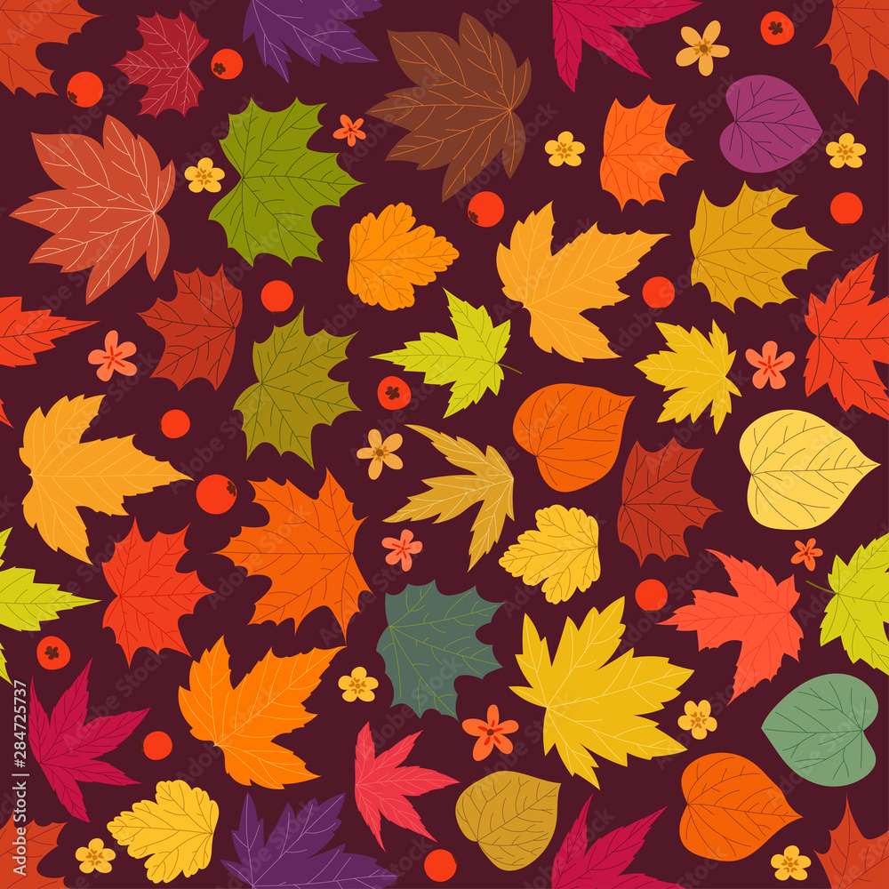 Fototapeta premium Color maple leaves vector seamless background