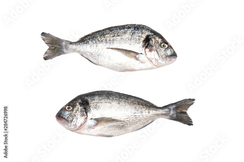 Two fresh Dorados fish isolated on white background. View from above.
