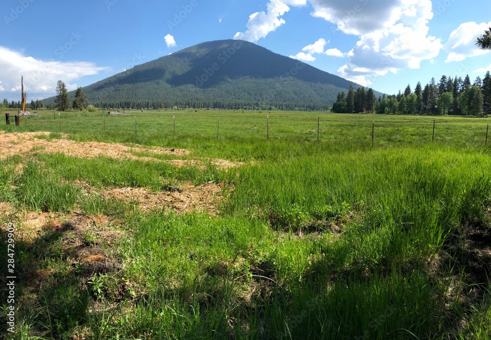 Obraz premium landscape with green field and blue sky
