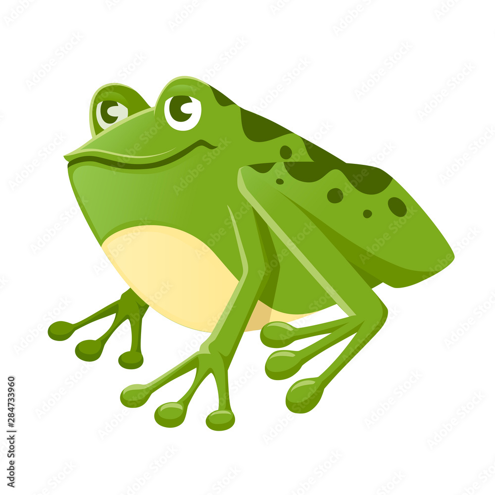 Fototapeta premium Cute smiling green frog sitting on ground cartoon animal design flat vector illustration isolated on white background