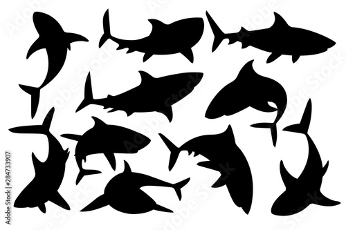 Black silhouette set of shark with mouth closed in different poses Shark with mouth closed giant apex predator cartoon animal design flat vector illustration isolated on white background